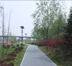 灞桥滨河生态公园二期景观绿化工程